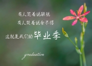 开云APP-沙漠之狐的闪电战，哈基米闪耀H组，突尼斯用攻守转换撕碎塞尔维亚