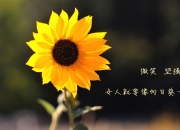 开云下载-奇迹之夜，2026世界杯H组，印度完胜塞尔维亚，加维致命一击铸就冰与火之歌