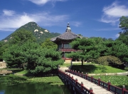 开云体育入口-2026世界杯F组，当新世界秩序碾过黄金一代，哈基米让美利坚的霸权梦不再孤独
