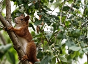 开云体育APP下载-幻影突袭者，当马克西隐入中国吉林的暗影，印第安纳的灯火为谁而明？