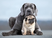 开云APP-冰火之间的唯一闪光，恩佐如何用一脚球洞穿瑞典与波兰的宿命枷锁