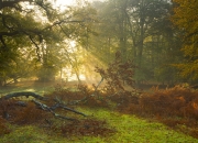 开云体育官网-当迈阿密热火的铁血战术，遇见辽宁飞豹的东北旋风—哈利伯顿在全宇宙的唯一性表演