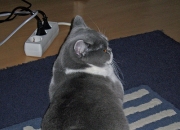 开云体育在线-暗夜流光，帕尔默在街道迷宫中刻下的独一印记