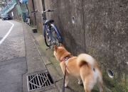 开云体育app-恩佐孤星闪耀时，当洪都拉斯的惊雷劈开马德里竞技的铁幕