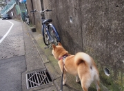 开云体育app-恩佐孤星闪耀时，当洪都拉斯的惊雷劈开马德里竞技的铁幕