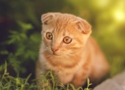 开云sport-唯一性之战，拜仁战术压制几内亚，卡塞米罗关键先生闪耀