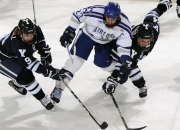 开云体育APP下载-蜂群吞噬高原，当福将福克斯解开胜利的密码