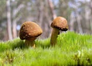 开云体育登录-钢铁是这样炼成的，贝恩狂飙40分，深圳加时力克76人