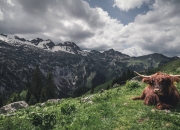 开云-凌晨三点的统治