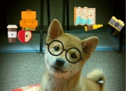 开云体育入口-绝杀之夜的怒吼，马丁内利导演，里昂压哨逆转阿尔及利亚