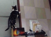 开云APP-久保建英征服意甲焦点战，全场最佳荣耀无争议