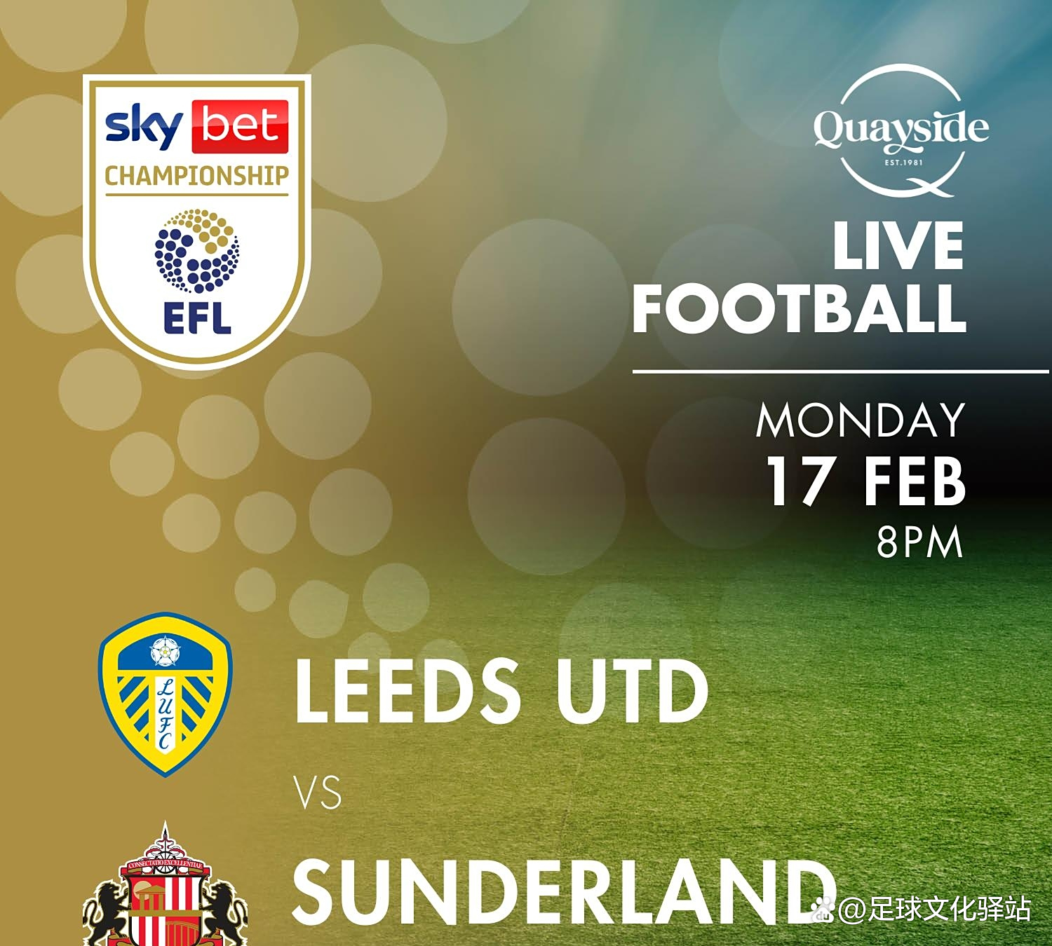 利兹联迎战桑德兰,实力对比的简单介绍 利兹联迎战桑德兰,实力对比的简单介绍