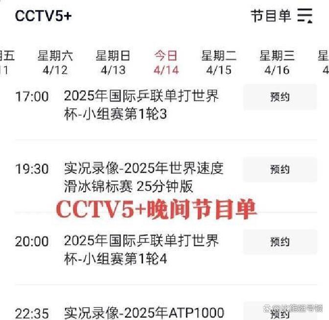 丹麦队碾压法国队，石宇奇关键制胜的简单介绍