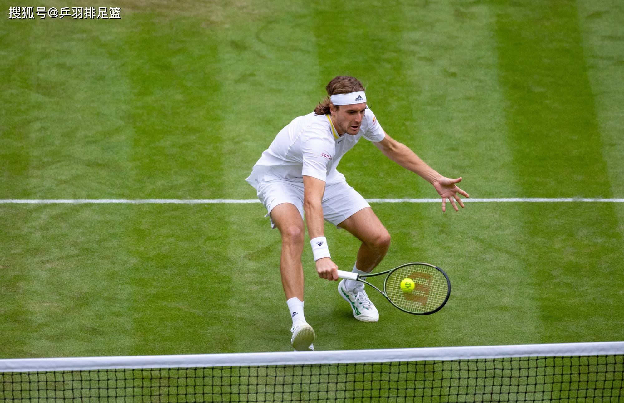 温网绝杀戴维斯杯,蒂姆状态火热 温网绝杀戴维斯杯,蒂姆状态火热