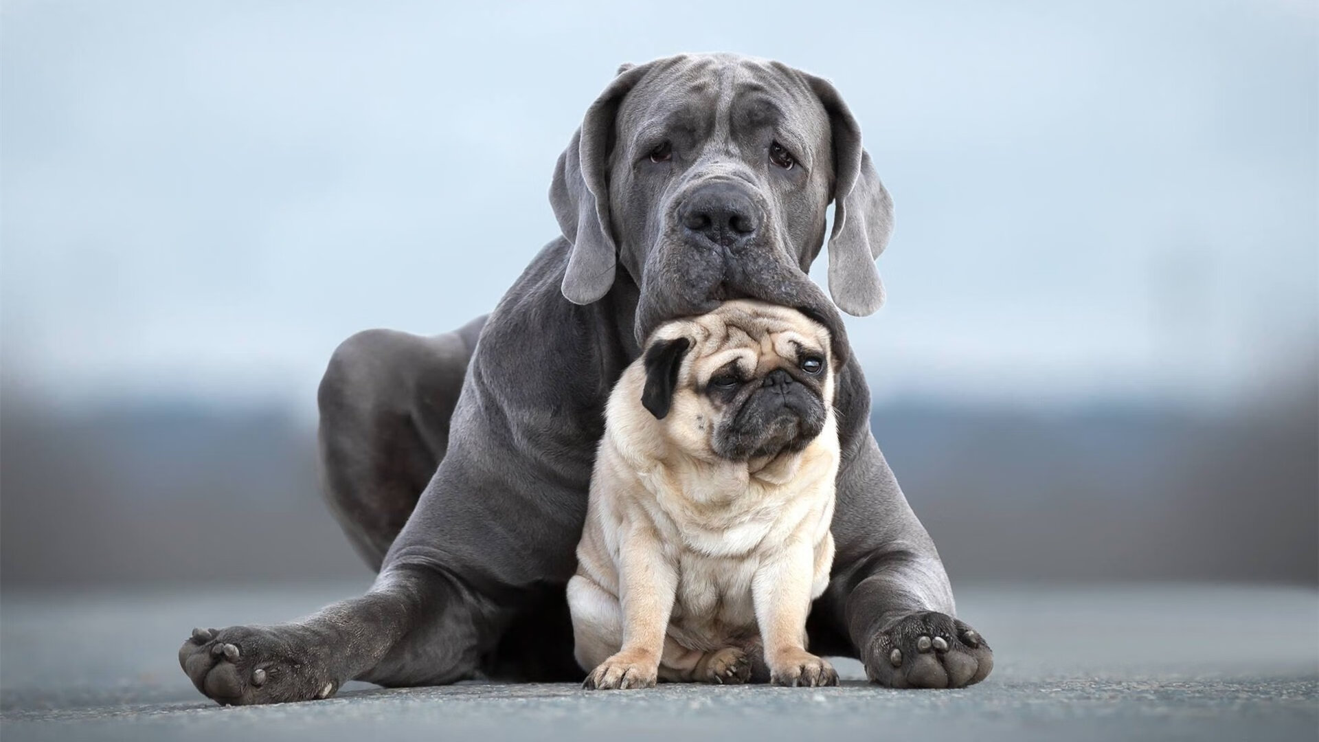 冰火之间的唯一闪光，恩佐如何用一脚球洞穿瑞典与波兰的宿命枷锁