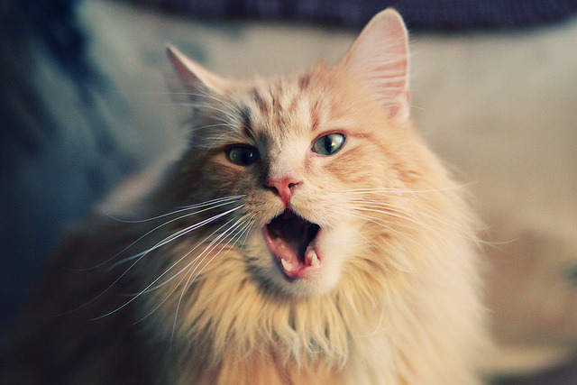 重剑无锋，欧文四分钟终结德甲十年悬念