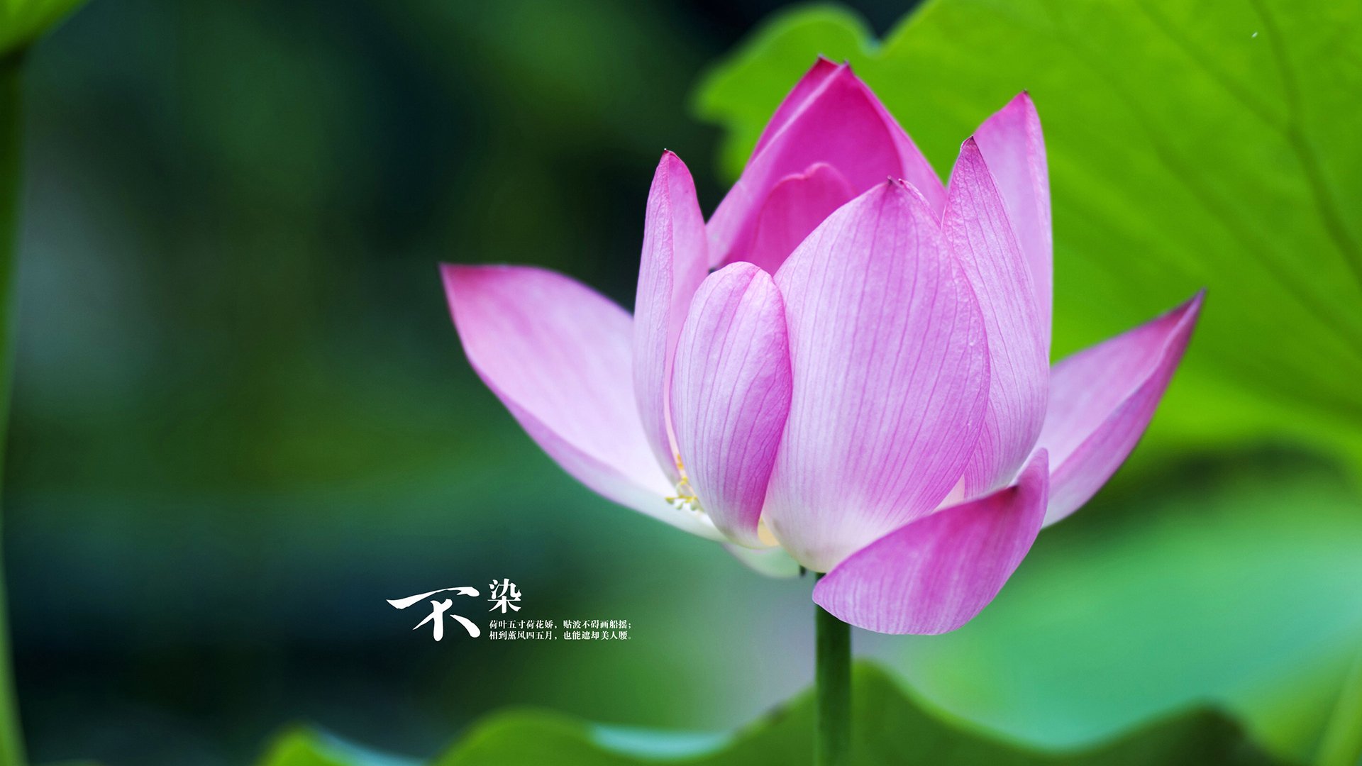 逆流而上，喀麦隆的铩羽与比利时冷血进击背后的奥运生存法则