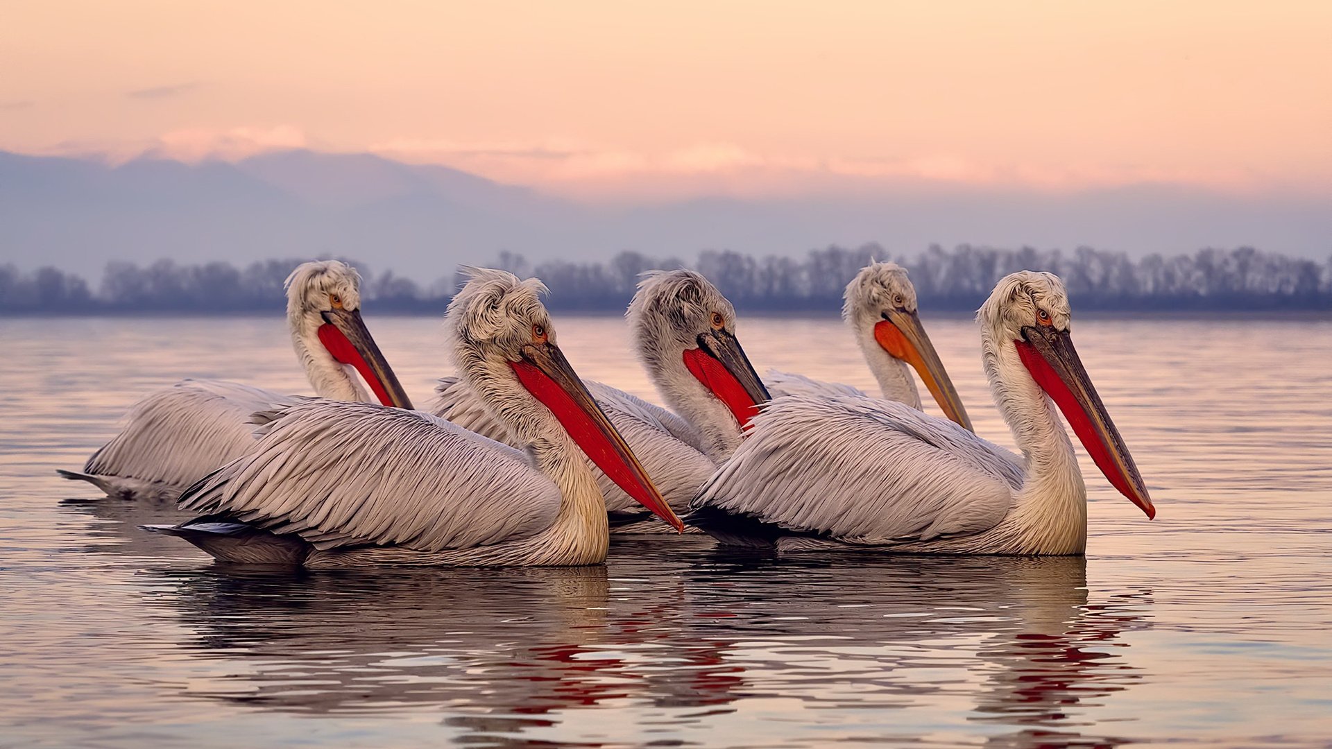 谁是76人？布伦森只听到自己的名字