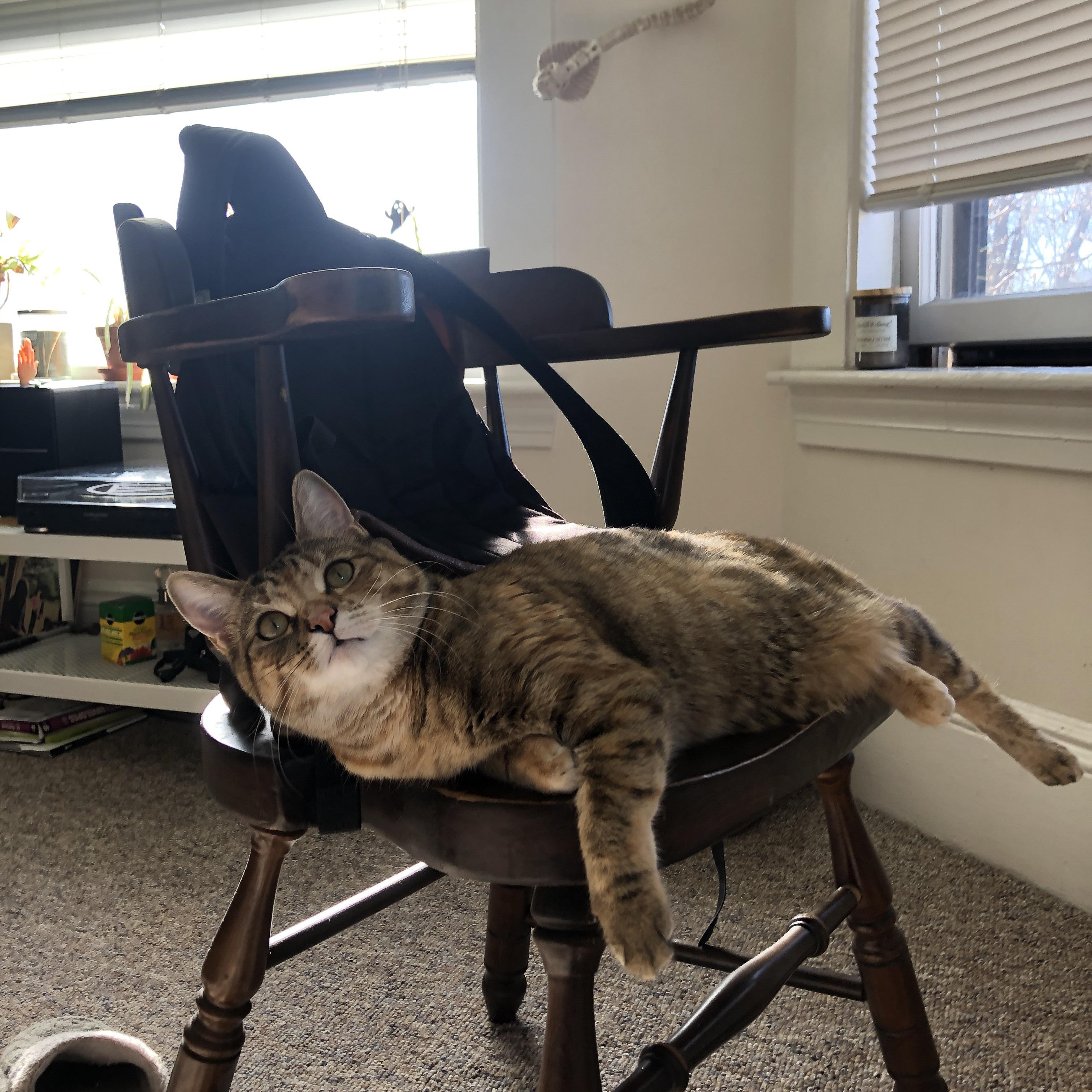 山西队关键战突围国王,约基奇扛起全队