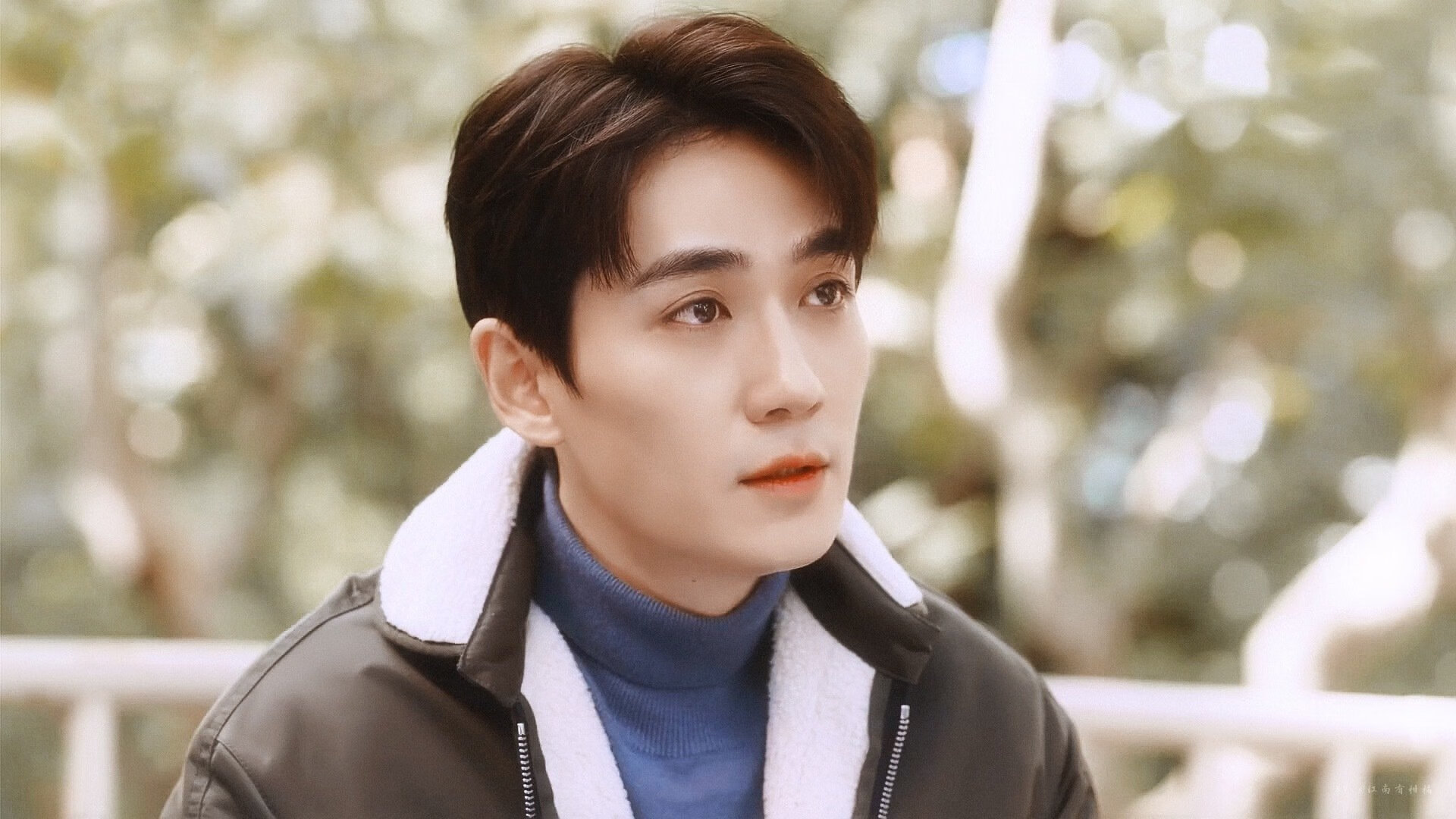 跨界统治力,从马刺团队绞杀到字母哥的德甲征服