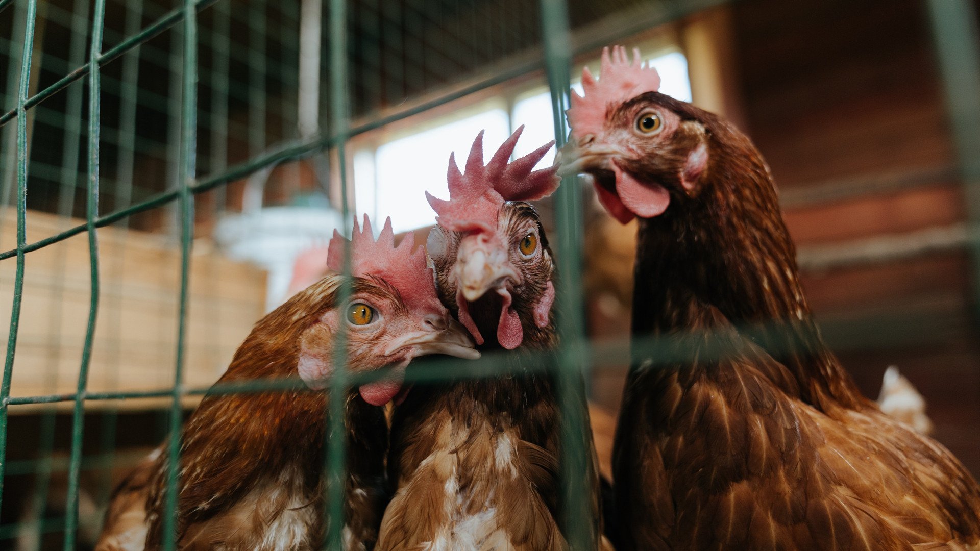 足球双响炮，拉什福德爆发梅开二度，亚特兰大补时绝杀阿尔及利亚