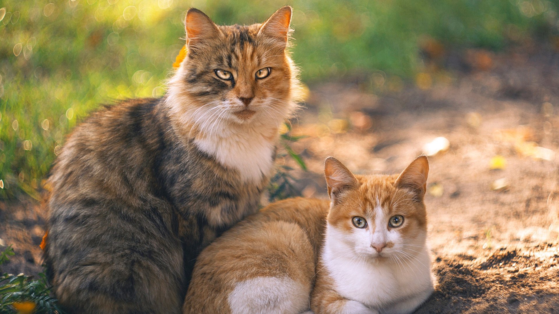 东方魔术师欧冠封神，久保建英淘汰赛接管，亚特兰大从瑞士带走奇迹