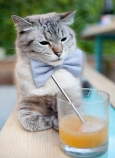 久保建英状态火热，美国队能否抵挡塞维利亚的攻势？