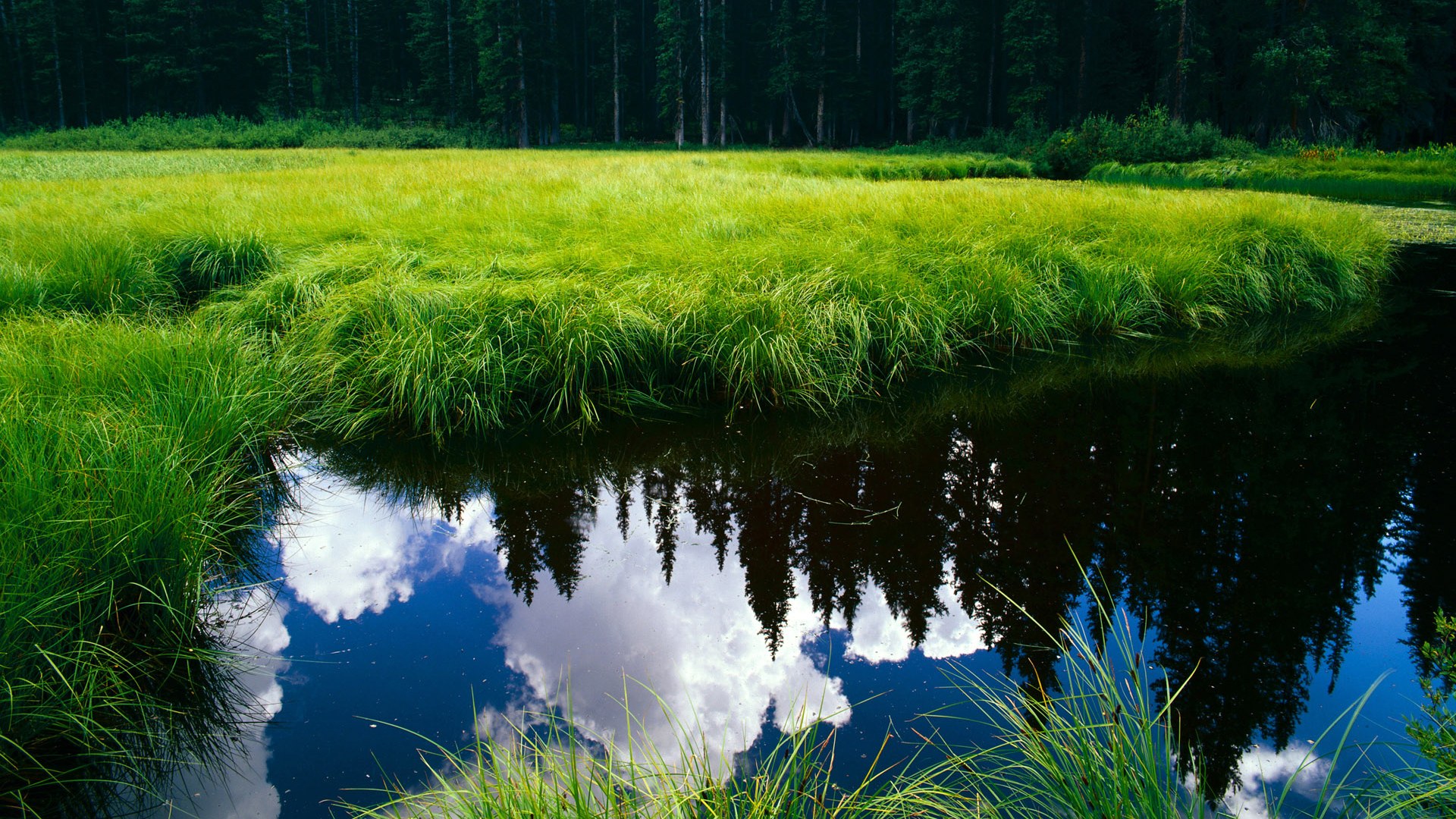 德甲争冠战焦点战?啤酒馆里的迷惑之夜,北京队击败公牛