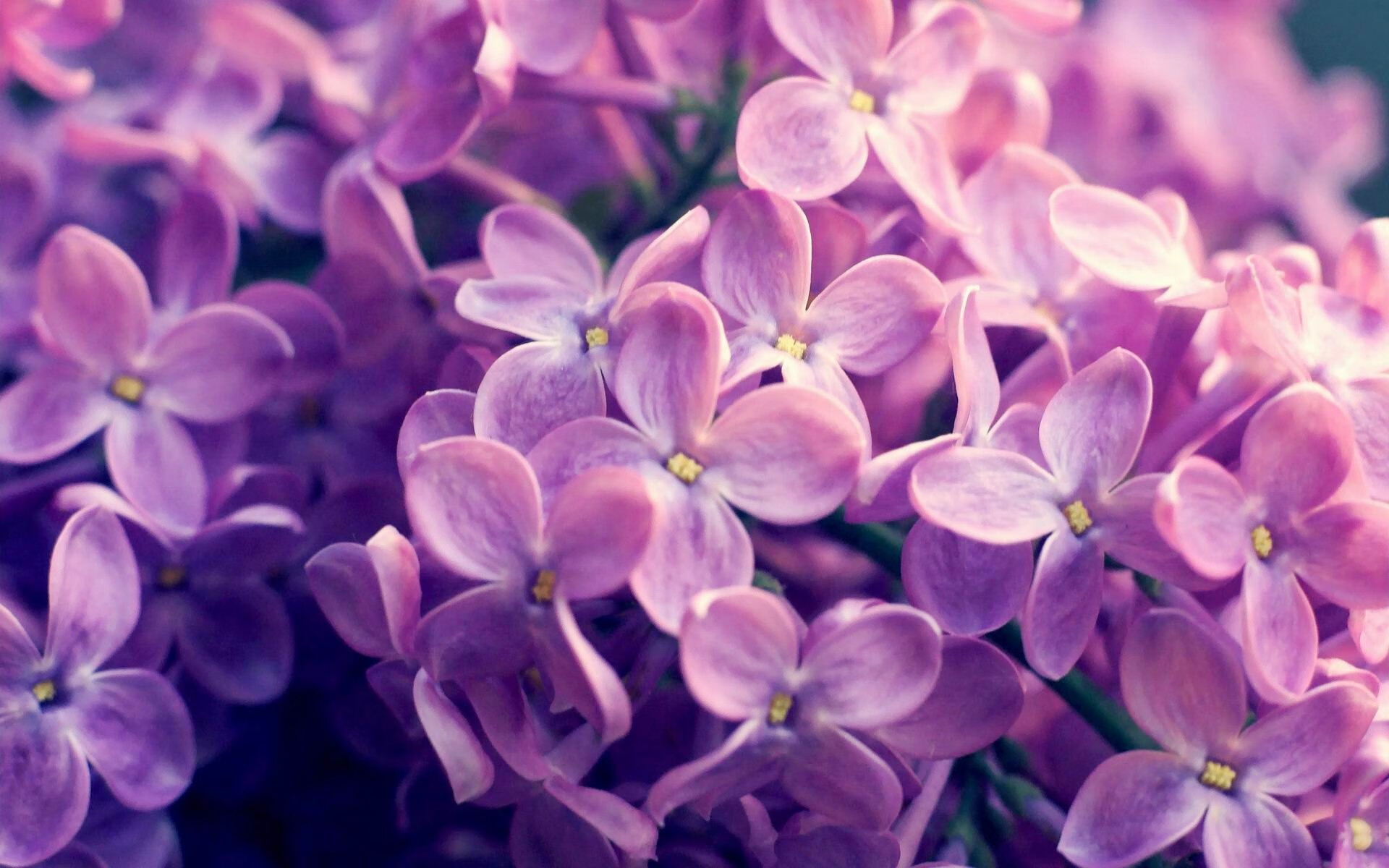 乔治绝境爆发!浙江队双城记淘汰马刺,诠释小城逆袭之道