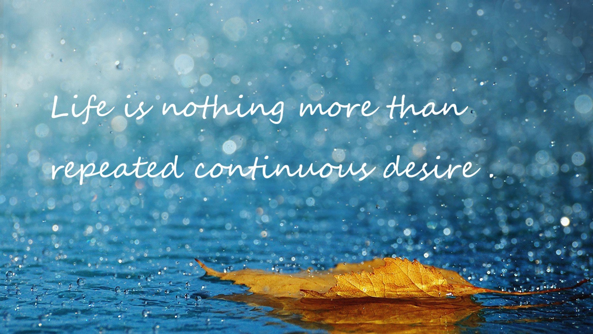 横跨欧亚的体育启示录,从土耳其篮球横扫日本到巴雷拉的欧冠统治