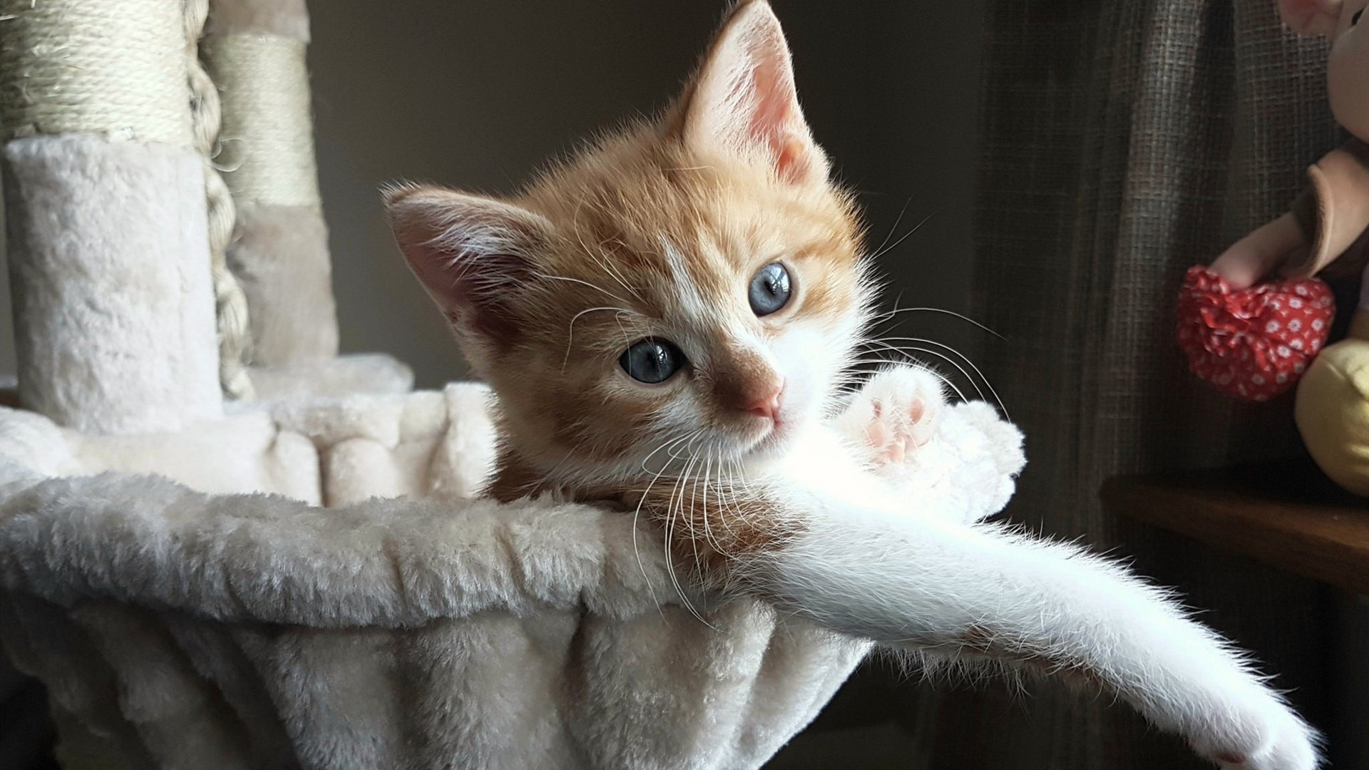 暗夜流光，帕尔默在街道迷宫中刻下的独一印记