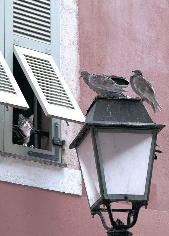 一步之遥与一步之遥,卡塞米罗的2.3公里