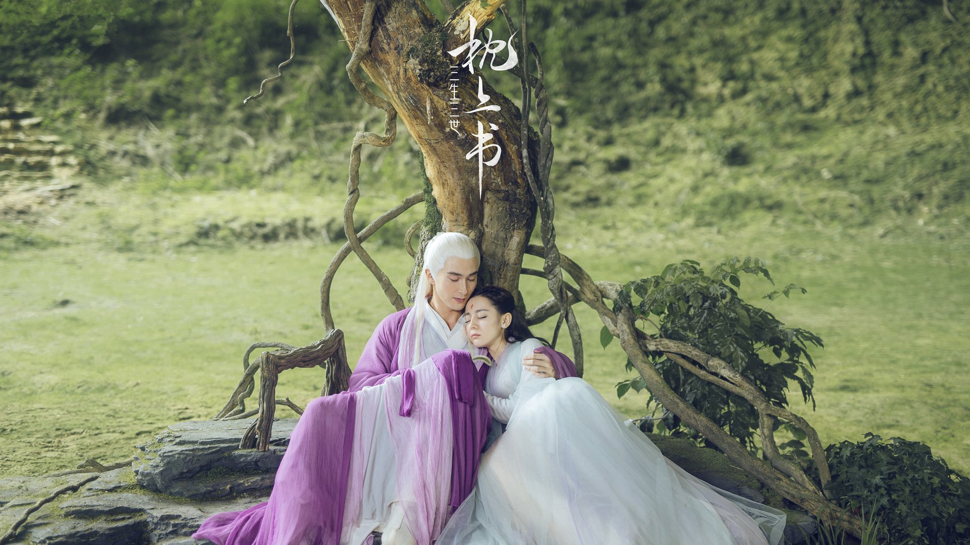 午夜太阳，德甲的接管与外交的压制