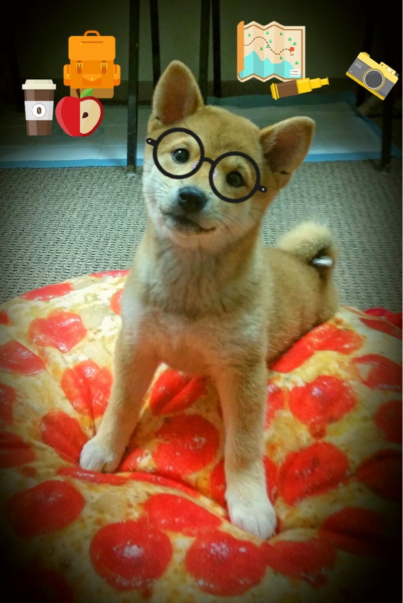 绝杀之夜的怒吼，马丁内利导演，里昂压哨逆转阿尔及利亚