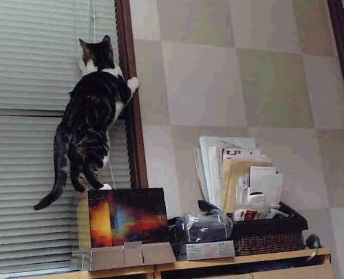 久保建英征服意甲焦点战,全场最佳荣耀无争议