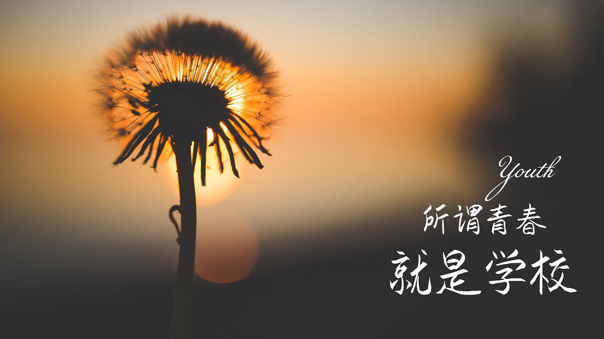 绿茵烽火，2026世界杯A组巅峰对决，尼日利亚险胜智利，托纳利一剑封喉书写传奇