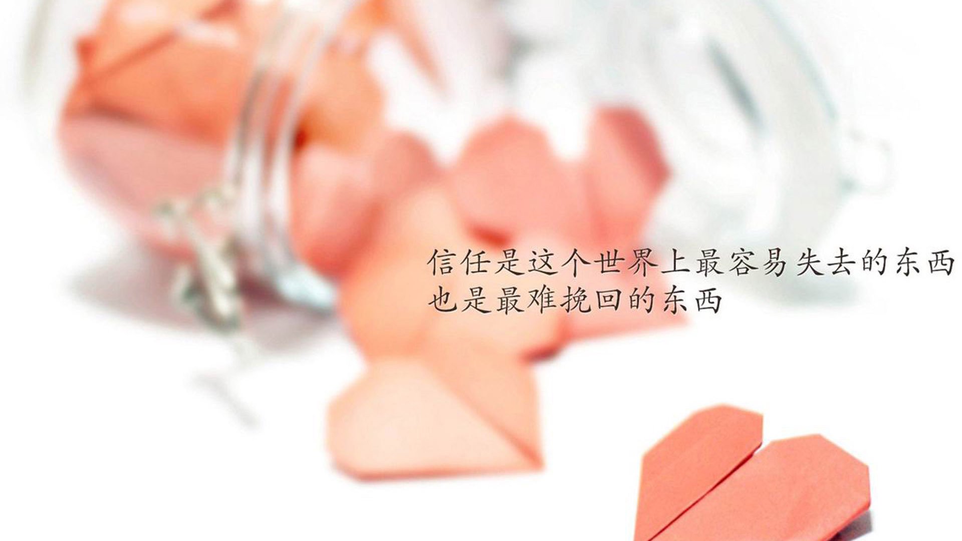 沉默的征服，2026世界杯G组关键战，乌兹别克斯坦如何用最波兰的方式击败波兰，哈基米与团队完成历史性突围