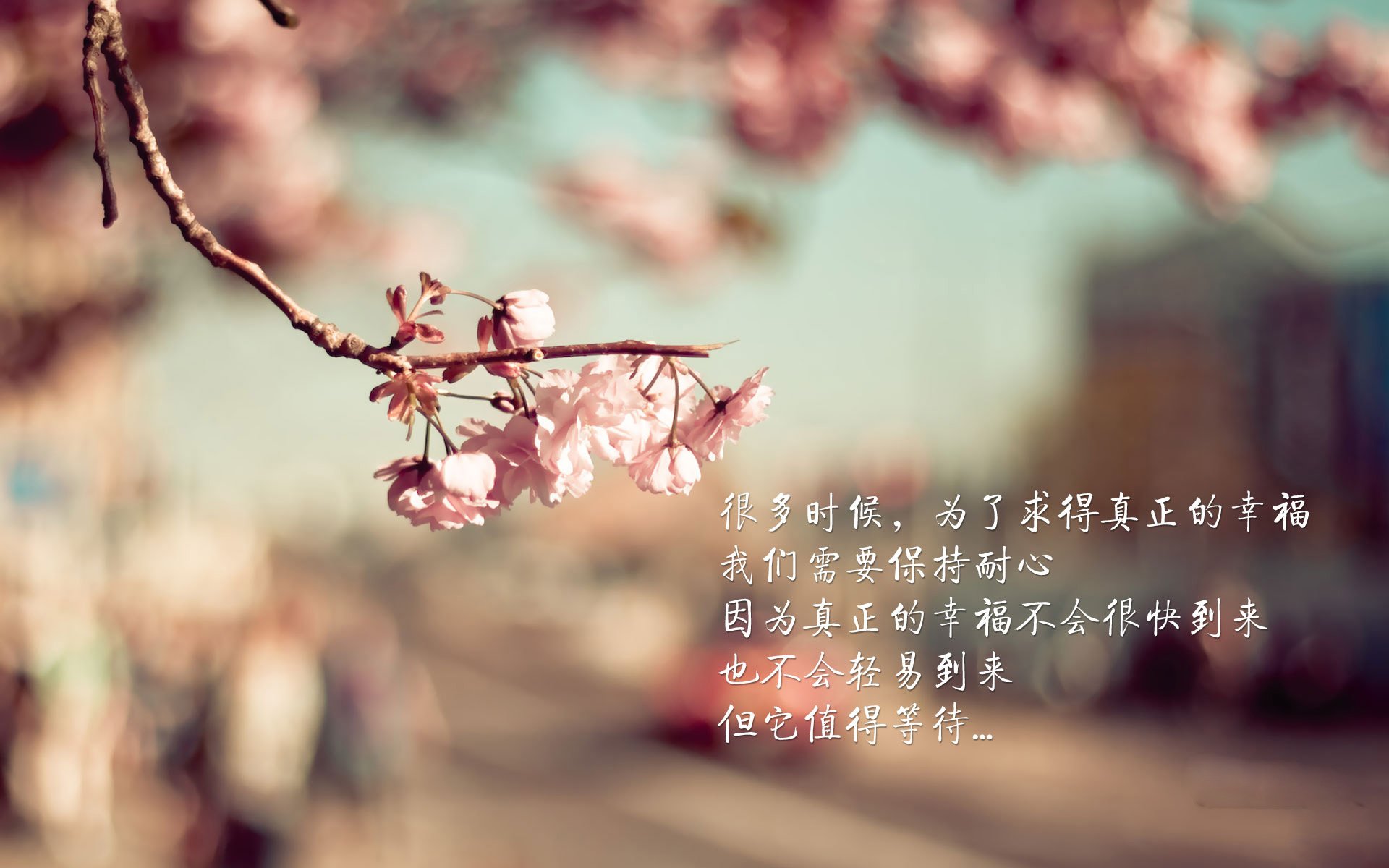 绿茵场上的意外之缘，京多安与乌兹别克斯坦，2026世界杯G组的命运交响曲