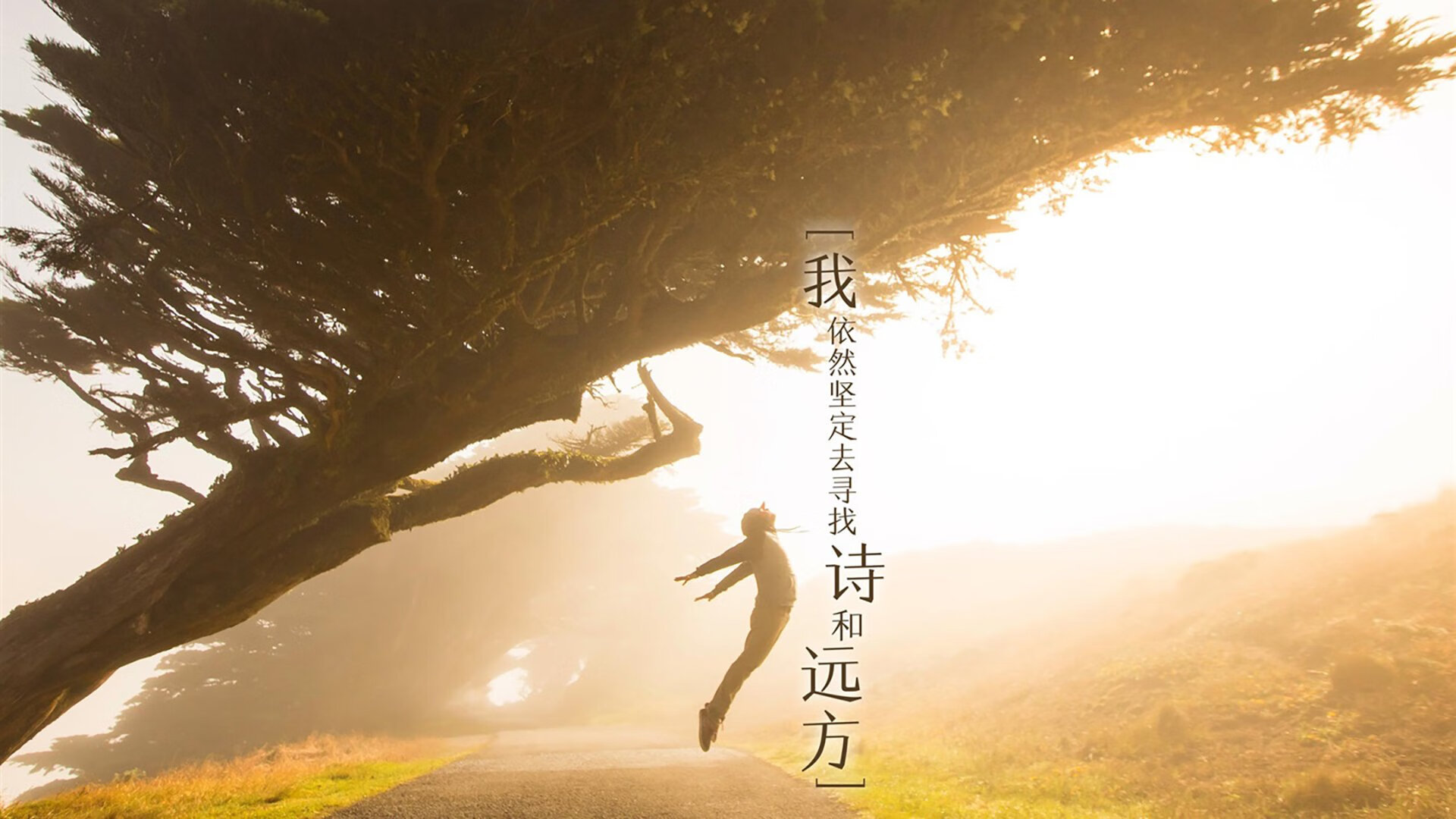 绿茵宿命与战术升维，2026世界杯H组焦点战，意大利如何以维尼修斯公式击溃韩国