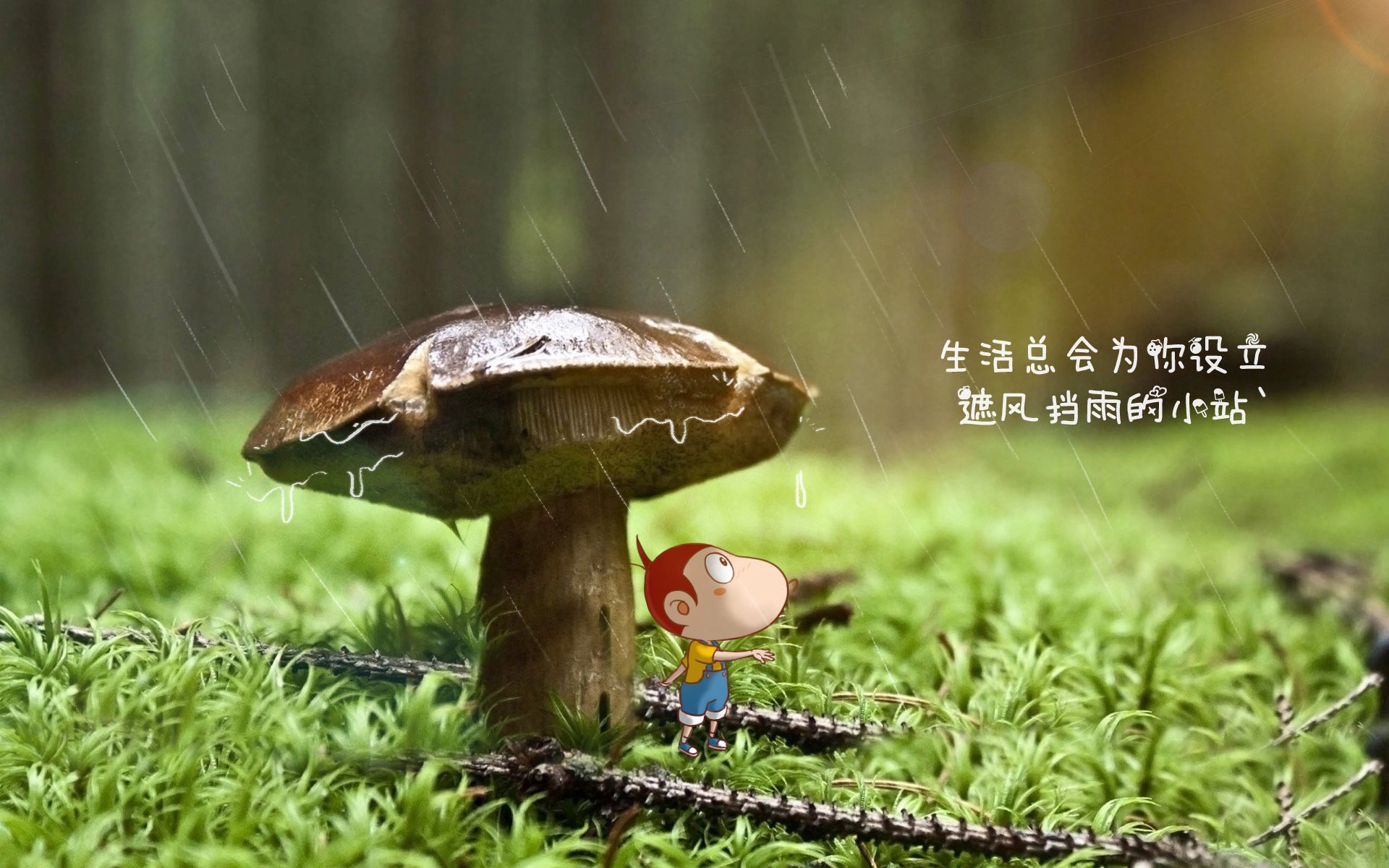 中亚铁骑与南美红焰，塔雷米在2026世界杯E组的迭起风云，一剑封喉的唯一剧本
