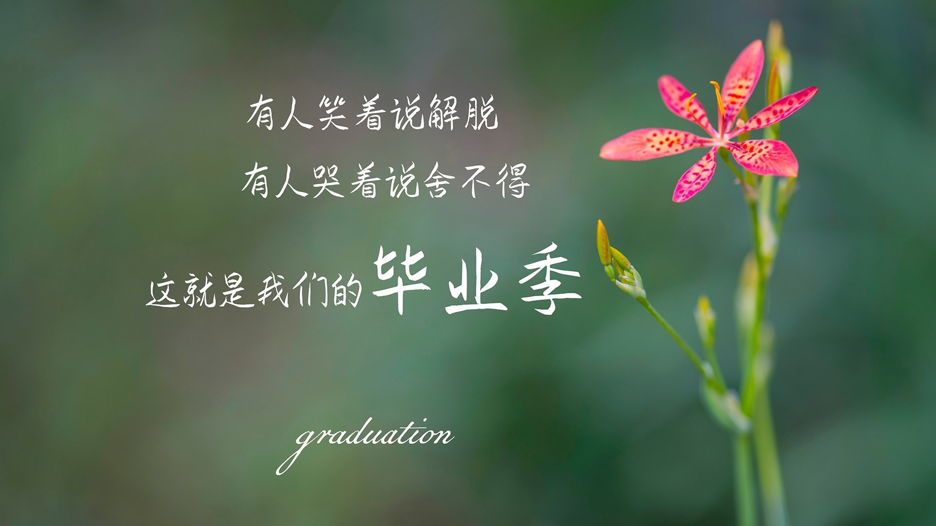 沙漠之狐的闪电战，哈基米闪耀H组，突尼斯用攻守转换撕碎塞尔维亚
